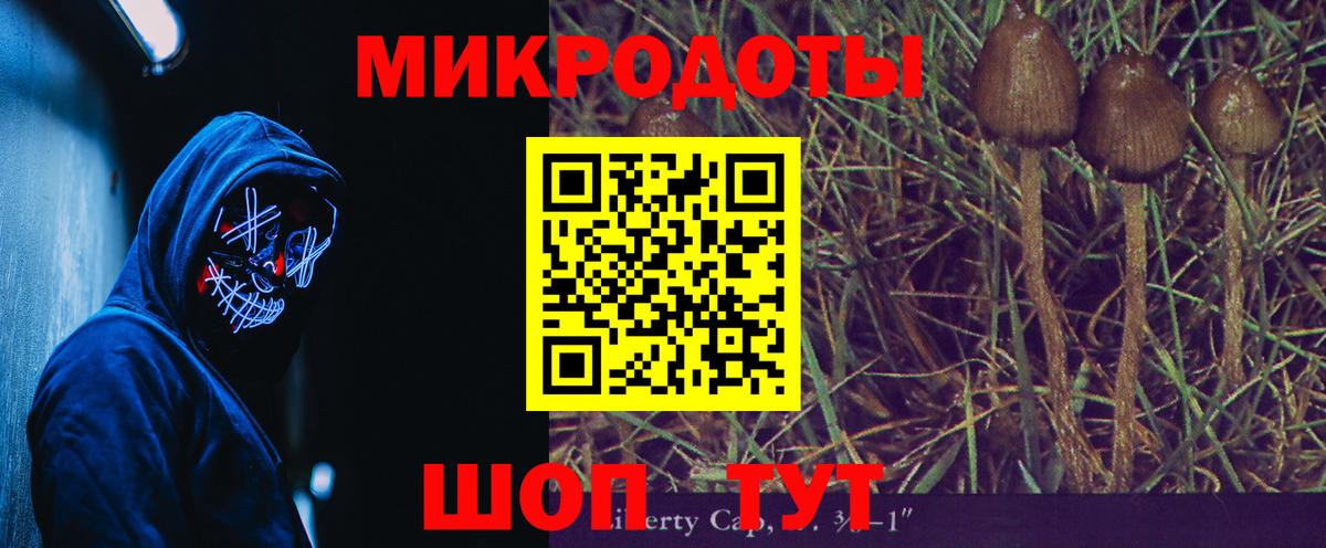 Галлюциногенные грибы Psilocybe Рязань